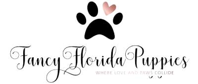 Fancy Florida Puppies